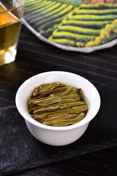 2024 Yunnan Sourcing "Spring Morning" Raw Pu-erh Tea Cake