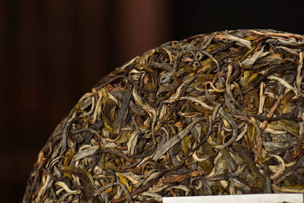 2025 Yunnan Sourcing "Meng Zhu Da Shan" Old Arbor Raw Pu-erh Tea Cake | Yunnan Sourcing Tea Shop