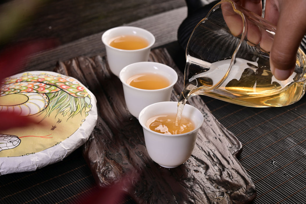 2025 Yunnan Sourcing "Mang Zhi" Old Arbor Raw Pu-erh Tea Cake | Yunnan Sourcing Tea Shop