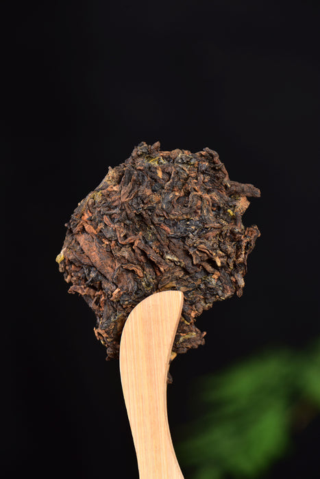 2024 Yunnan Sourcing "Subduer of Dragons" Ripe Raw Pu-erh Tea Cake