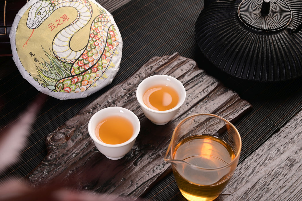 2025 Yunnan Sourcing "Wa Long Village" Ancient Arbor Raw Pu-erh Tea Cake | Yunnan Sourcing Tea Shop