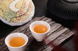 2025 Yunnan Sourcing "Wa Long Village" Ancient Arbor Raw Pu-erh Tea Cake | Yunnan Sourcing Tea Shop