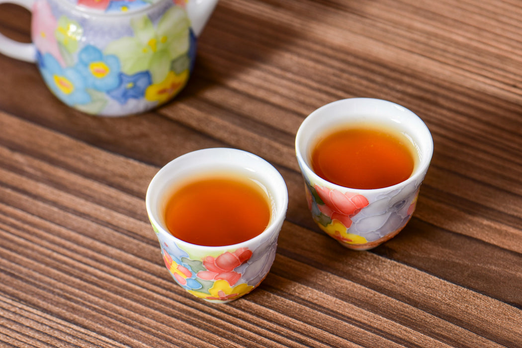 “Spring Garden” Raised Enamel Porcelain Teapot and Tea Cups