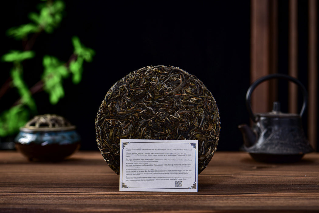 2026 Yunnan Sourcing “Ancient Grove” Old Arbor Raw Pu-erh Tea Cake | Yunnan Sourcing Tea Shop