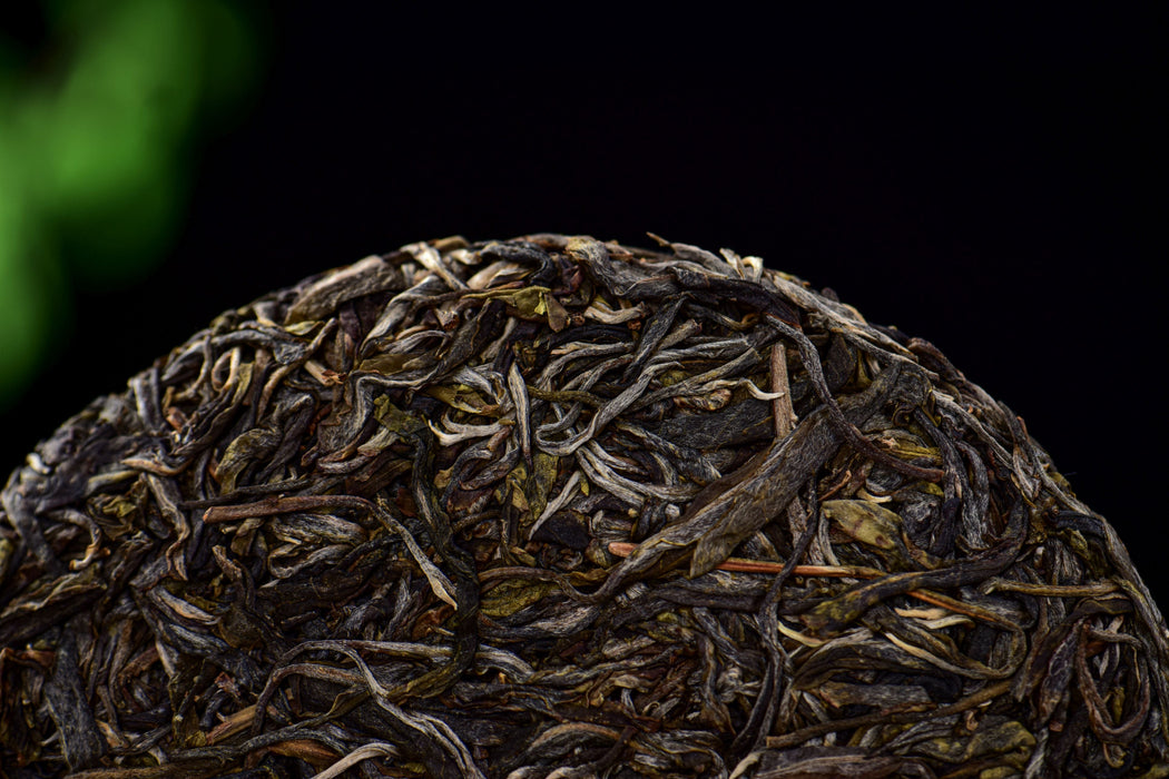 2026 Yunnan Sourcing “Ancient Grove” Old Arbor Raw Pu-erh Tea Cake | Yunnan Sourcing Tea Shop