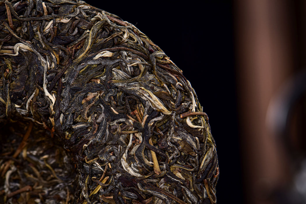 2026 Yunnan Sourcing “Ancient Grove” Old Arbor Raw Pu-erh Tea Cake | Yunnan Sourcing Tea Shop