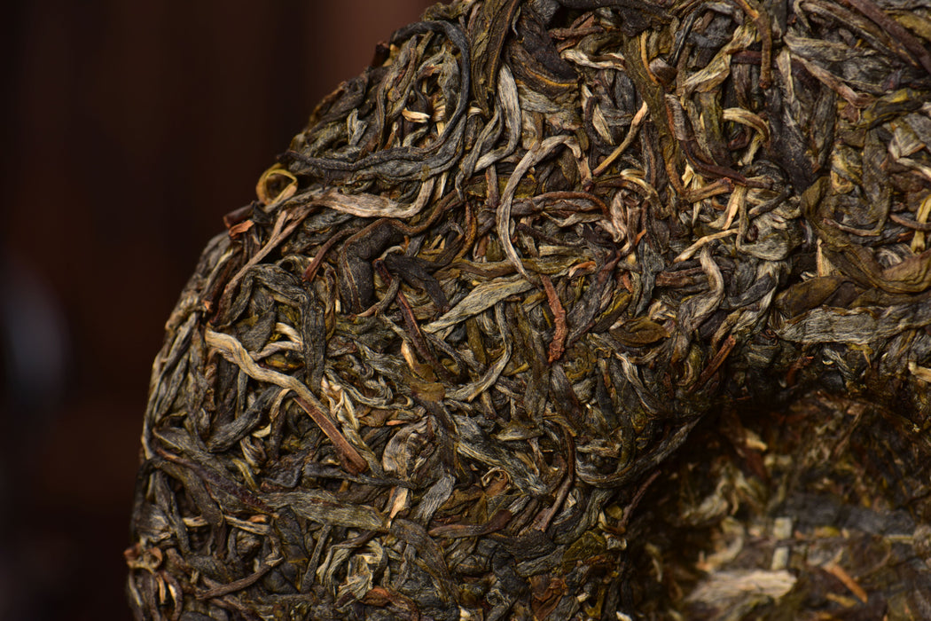 2025 Yunnan Sourcing "Wu Liang Mountain" Wild Arbor Raw Pu-erh Tea Cake | Yunnan Sourcing Tea Shop
