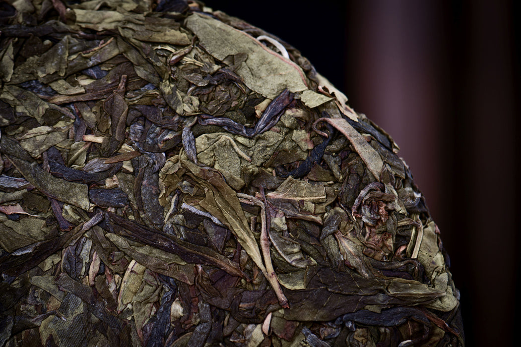 2026 Yunnan Sourcing "Spring Morning" Raw Pu-erh Tea Cake | Yunnan Sourcing Tea Shop