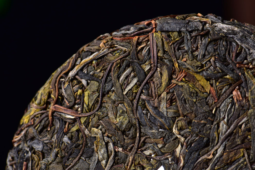 2026 Yunnan Sourcing "Forest Tea" Raw Pu-erh Tea Cake
