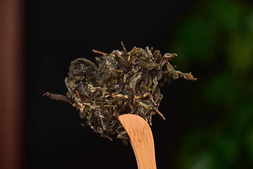 2025 Yunnan Sourcing "Ba Nuo Village" Raw Pu-erh Tea Cake | Yunnan Sourcing Tea Shop