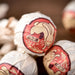 2023 Yunnan Sourcing "Spring Morning" Raw Pu-erh Tea Dragon Balls | Yunnan Sourcing Tea Shop