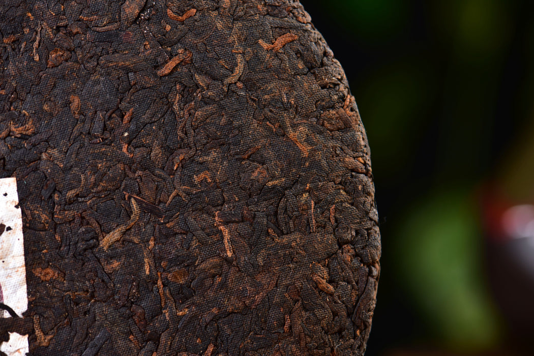 2026 Yunnan Sourcing "Cozy" Certified Organic Ripe Pu-erh Tea | Yunnan Sourcing Tea Shop