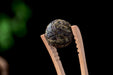 2023 Yunnan Sourcing "Spring Morning" Raw Pu-erh Tea Dragon Balls | Yunnan Sourcing Tea Shop
