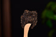 2026 Yunnan Sourcing "Cozy" Certified Organic Ripe Pu-erh Tea | Yunnan Sourcing Tea Shop