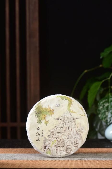 2024 Yunnan Sourcing "Luo Shui Dong" Ancient Arbor Raw Pu-erh Tea Cake