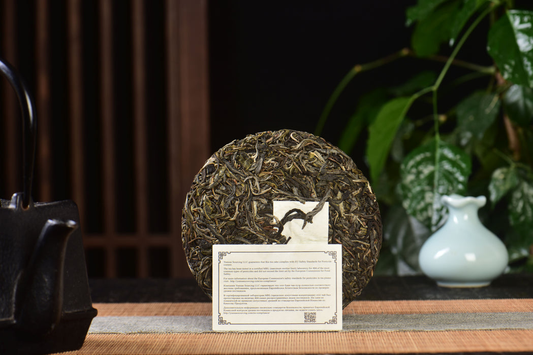 2024 Yunnan Sourcing "Luo Shui Dong" Ancient Arbor Raw Pu-erh Tea Cake