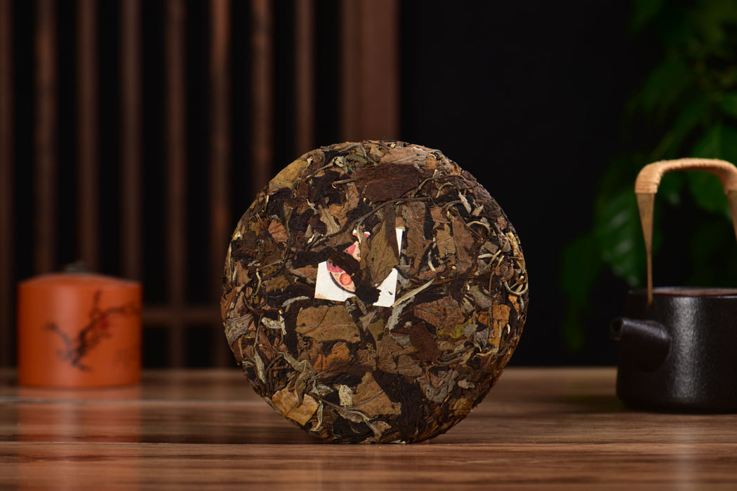 2025 Yunnan Sourcing "Suan Zao Shu" Old Arbor White Tea Cake | Yunnan Sourcing Tea Shop