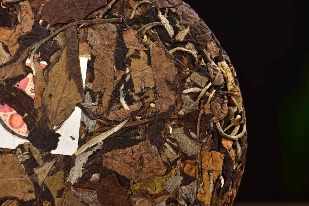 2025 Yunnan Sourcing "Suan Zao Shu" Old Arbor White Tea Cake | Yunnan Sourcing Tea Shop