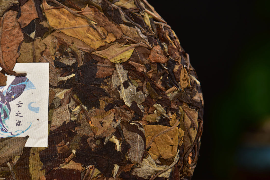 2025 Yunnan Sourcing "Jiu Tai Po Bai Cha" Old Arbor White Tea Cake | Yunnan Sourcing Tea Shop