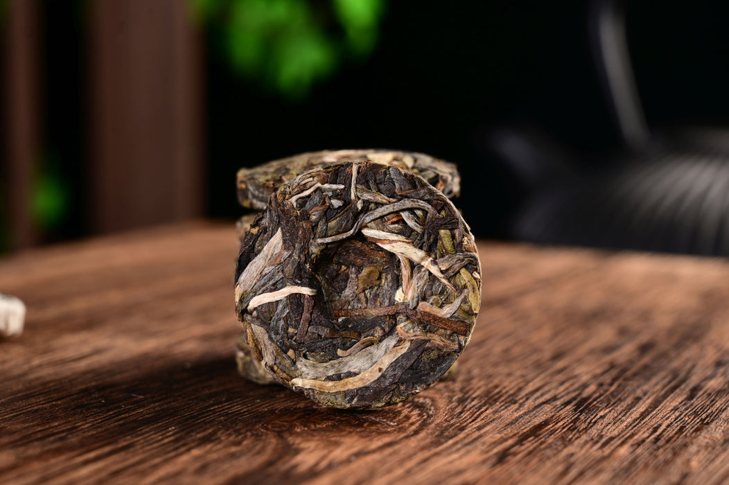 2025 Yunnan Sourcing "Green Label" Wild Arbor Raw Pu-erh Tea Mini Cakes | Yunnan Sourcing Tea Shop
