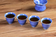Blue Blossom Glazed Porcelain Gaiwan and Tea Cup Set with Strainer | Yunnan Sourcing Tea Shop