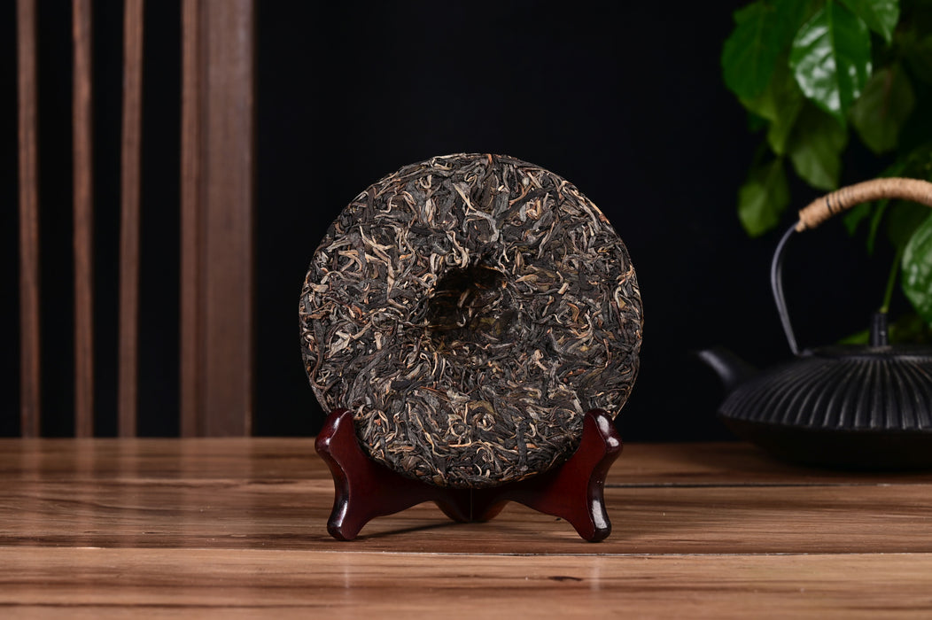 2024 Yunnan Sourcing "Autumn Gao Shan Zhai" Ancient Arbor Raw Pu-erh Tea Cake | Yunnan Sourcing Tea Shop