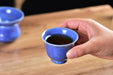 Blue Blossom Glazed Porcelain Gaiwan and Tea Cup Set with Strainer | Yunnan Sourcing Tea Shop