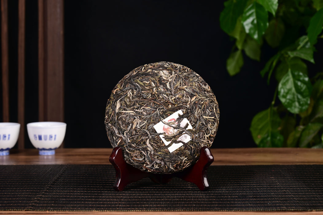 2024 Yunnan Sourcing "Autumn Ge Deng" Ancient Arbor Raw Pu-erh Tea Cake | Yunnan Sourcing Tea Shop