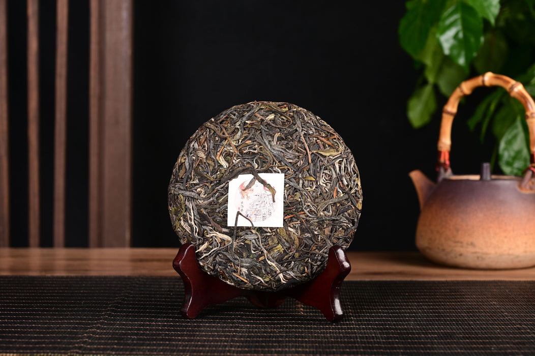 2024 Yunnan Sourcing "Autumn Mang Zhi" Ancient Arbor Raw Pu-erh Tea Cake | Yunnan Sourcing Tea Shop