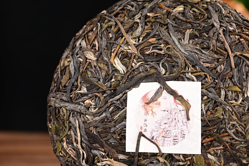 2024 Yunnan Sourcing "Autumn Mang Zhi" Ancient Arbor Raw Pu-erh Tea Cake | Yunnan Sourcing Tea Shop