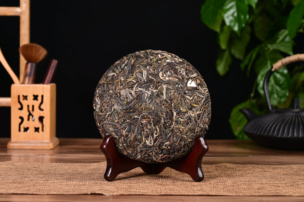 2024 Yunnan Sourcing "Autumn Zhang Jia Wan" Ancient Arbor Raw Pu-erh Tea Cake | Yunnan Sourcing Tea Shop