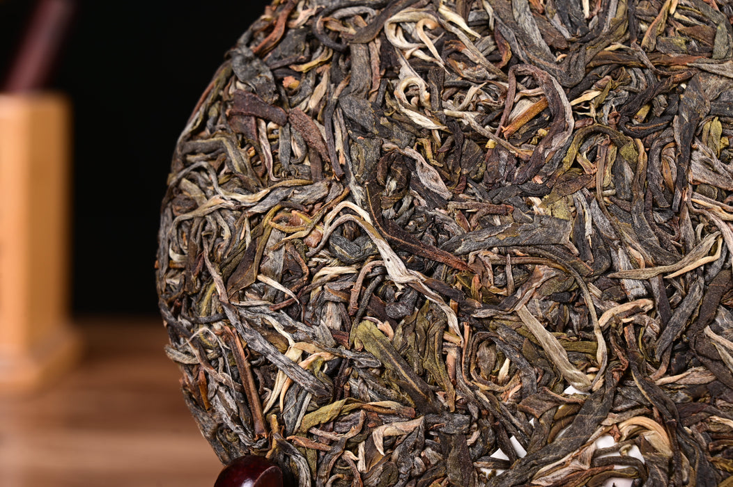 2024 Yunnan Sourcing "Autumn Zhang Jia Wan" Ancient Arbor Raw Pu-erh Tea Cake | Yunnan Sourcing Tea Shop