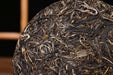 2024 Yunnan Sourcing "Autumn Yi Shan Mo" Ancient Arbor Raw Pu-erh Tea Cake | Yunnan Sourcing Tea Shop