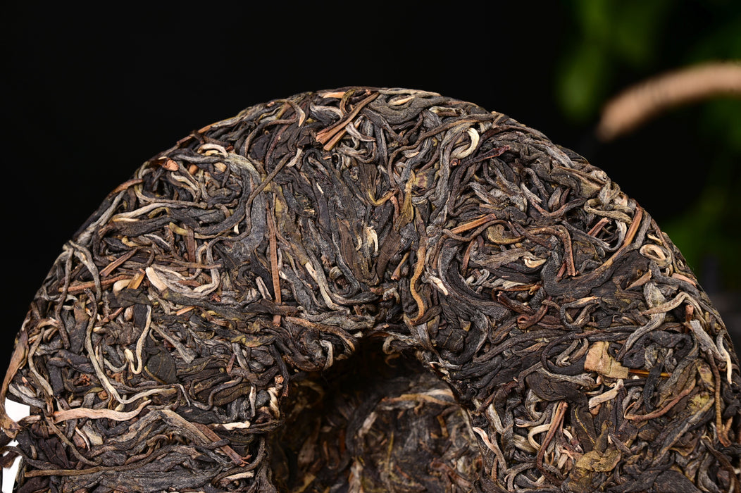 2024 Yunnan Sourcing "Autumn Yi Shan Mo" Ancient Arbor Raw Pu-erh Tea Cake | Yunnan Sourcing Tea Shop