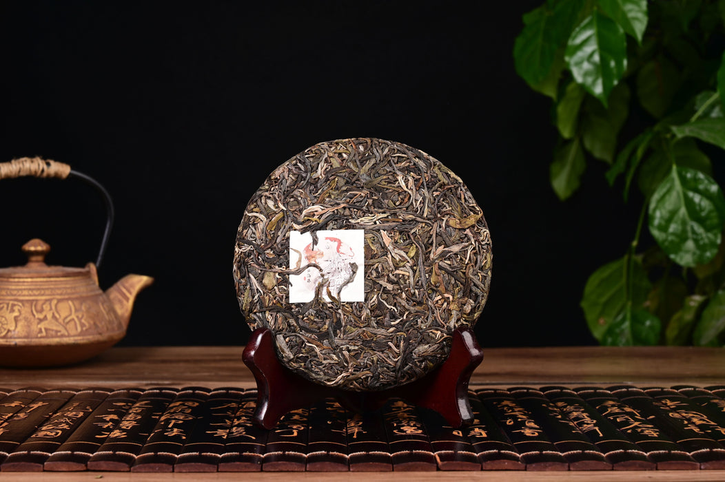 2024 Yunnan Sourcing "Autumn Yi Bang" Ancient Arbor Raw Pu-erh Tea Cake | Yunnan Sourcing Tea Shop