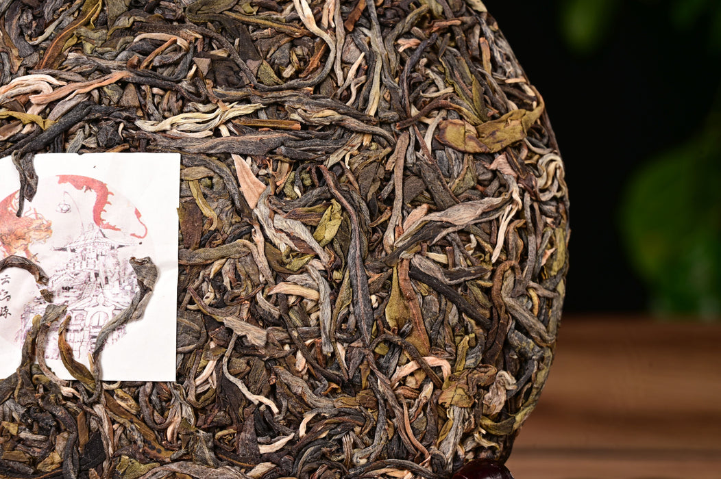 2024 Yunnan Sourcing "Autumn Yi Bang" Ancient Arbor Raw Pu-erh Tea Cake | Yunnan Sourcing Tea Shop