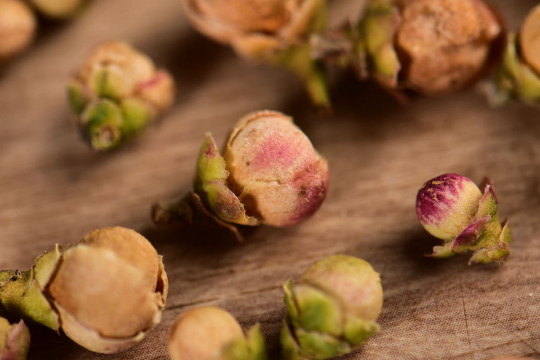 Wild Tree Purple Sweet Ya Bao Buds | Yunnan Sourcing Tea Shop
