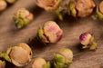 Wild Tree Purple Sweet Ya Bao Buds | Yunnan Sourcing Tea Shop