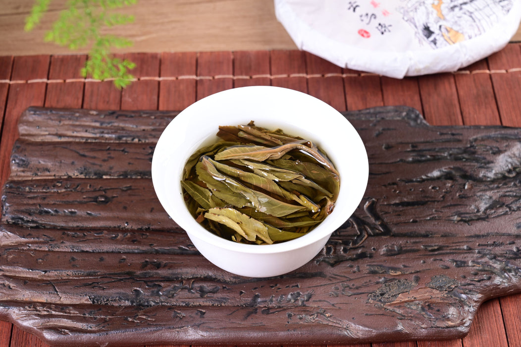 2024 Yunnan Sourcing "Autumn Mang Zhi" Ancient Arbor Raw Pu-erh Tea Cake | Yunnan Sourcing Tea Shop