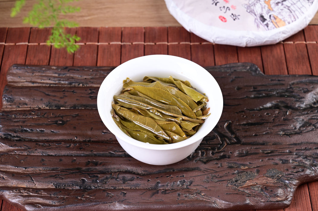 2024 Yunnan Sourcing "Autumn Ge Deng" Ancient Arbor Raw Pu-erh Tea Cake | Yunnan Sourcing Tea Shop