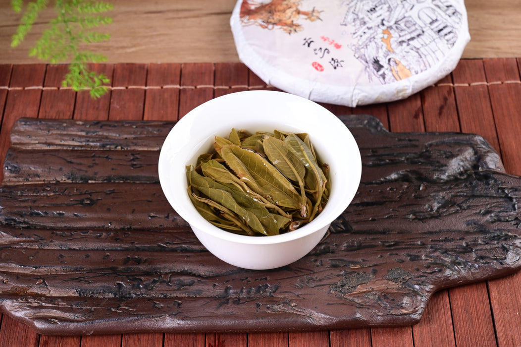 2024 Yunnan Sourcing "Autumn Gao Shan Zhai" Ancient Arbor Raw Pu-erh Tea Cake | Yunnan Sourcing Tea Shop