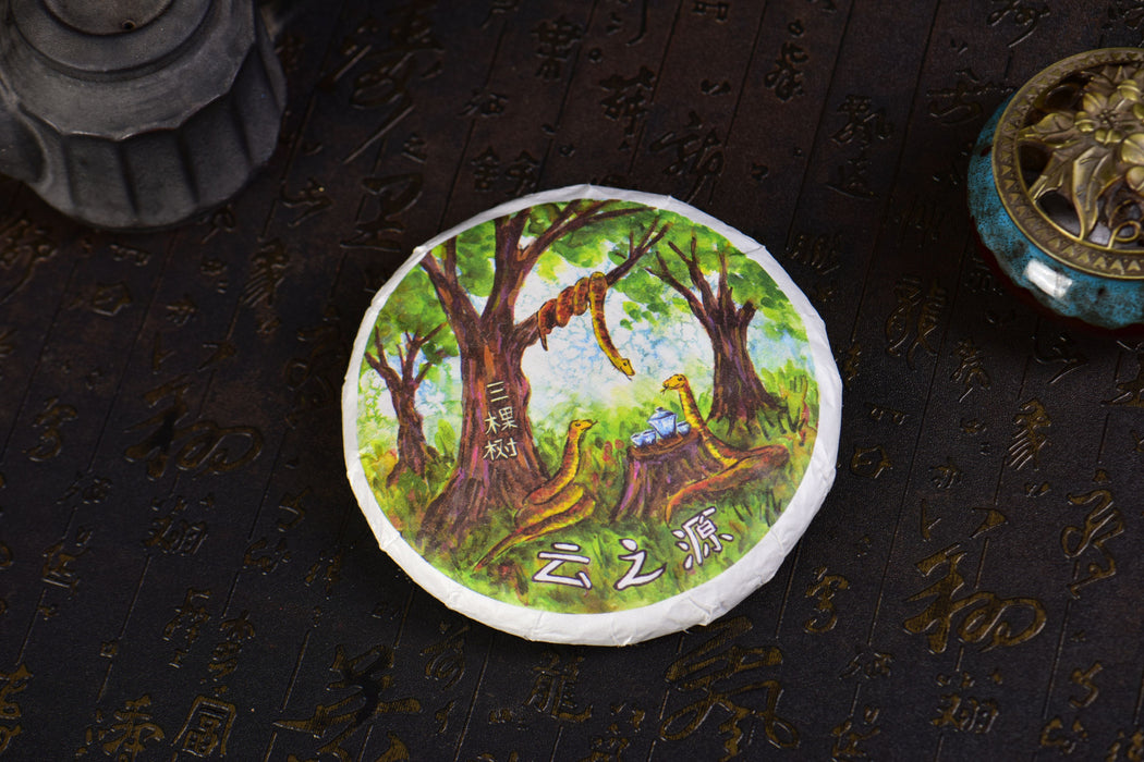 2025 Yunnan Sourcing "San Ke Shu" Old Arbor Raw Pu-erh Tea Cake | Yunnan Sourcing Tea Shop