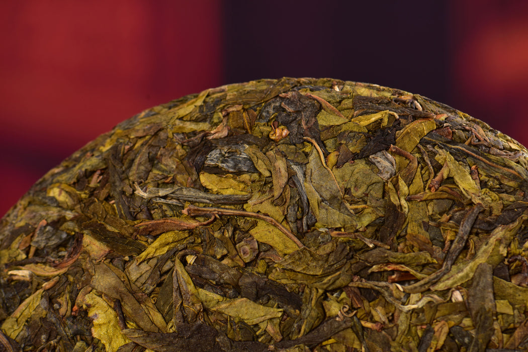 2025 Yunnan Sourcing "Spring Morning" Raw Pu-erh Tea Cake | Yunnan Sourcing Tea Shop