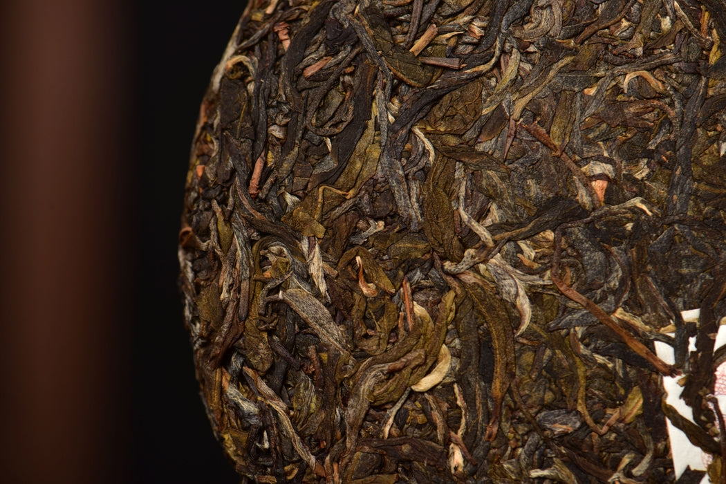 2021 Yunnan Sourcing "Huang Cao Ba Village" Raw Pu-erh Tea Cake | Yunnan Sourcing Tea Shop