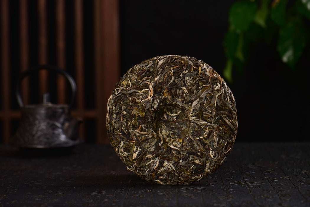 2024 Yunnan Sourcing "Ai Lao Secret Garden" Old Arbor Raw Pu-erh Tea Cake | Yunnan Sourcing Tea Shop