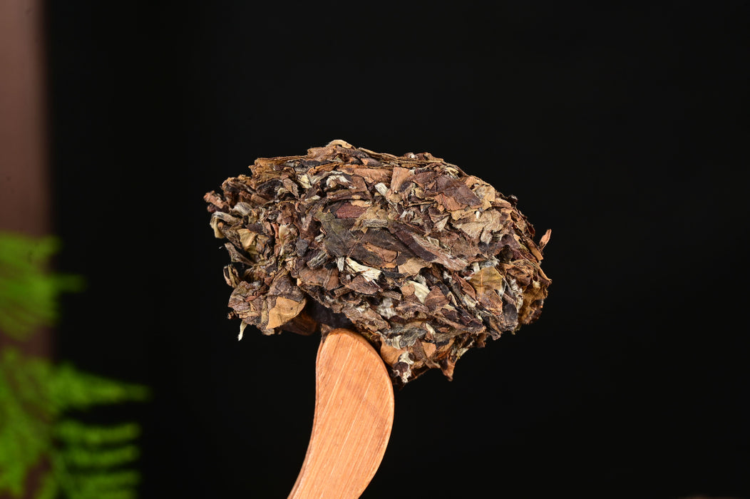 2024 Yunnan Sourcing "Liang" Man Gang Village White Tea Cake | Yunnan Sourcing Tea Shop