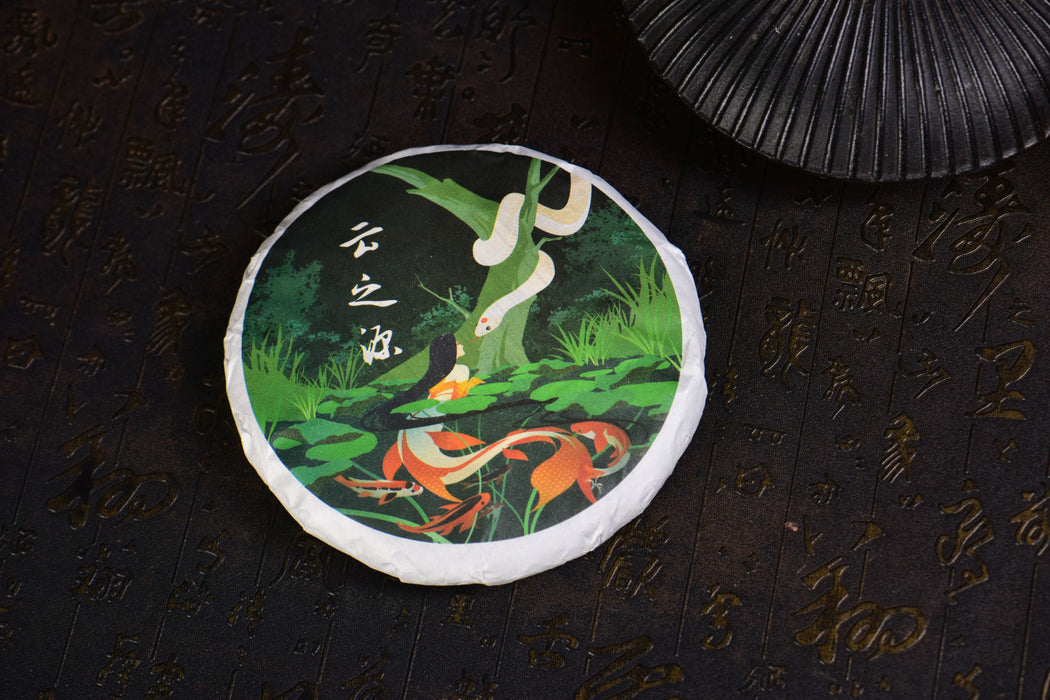 2025 Yunnan Sourcing "Jiu Tai Po" Old Arbor Raw Pu-erh Tea Cake | Yunnan Sourcing Tea Shop