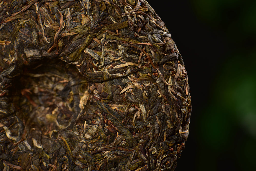 2025 Yunnan Sourcing "Ku Zhu Shan" Raw Pu-erh Tea Cake | Yunnan Sourcing Tea Shop
