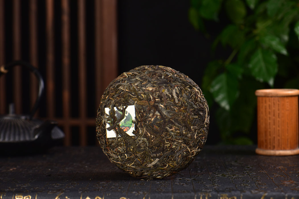 2025 Yunnan Sourcing "Jiu Tai Po" Old Arbor Raw Pu-erh Tea Cake | Yunnan Sourcing Tea Shop