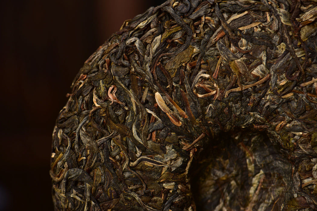 2025 Yunnan Sourcing "Jiu Tai Po" Old Arbor Raw Pu-erh Tea Cake | Yunnan Sourcing Tea Shop